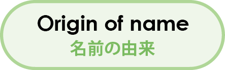 名前の由来